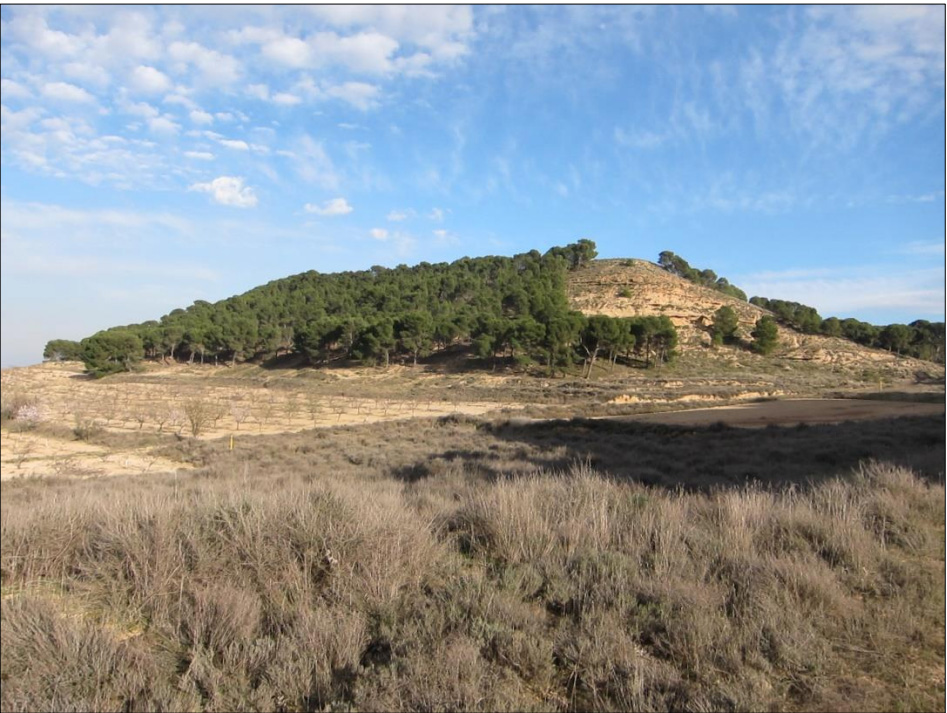 Montes de Cierzo y Argenzón en Tudela-Cascante