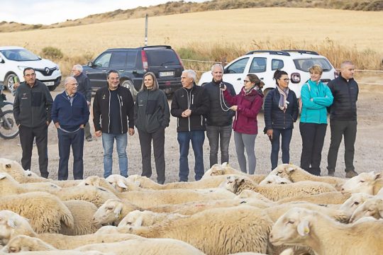 Dos ganaderos participan con cerca de 2.000 ovejas en el rito del Paso