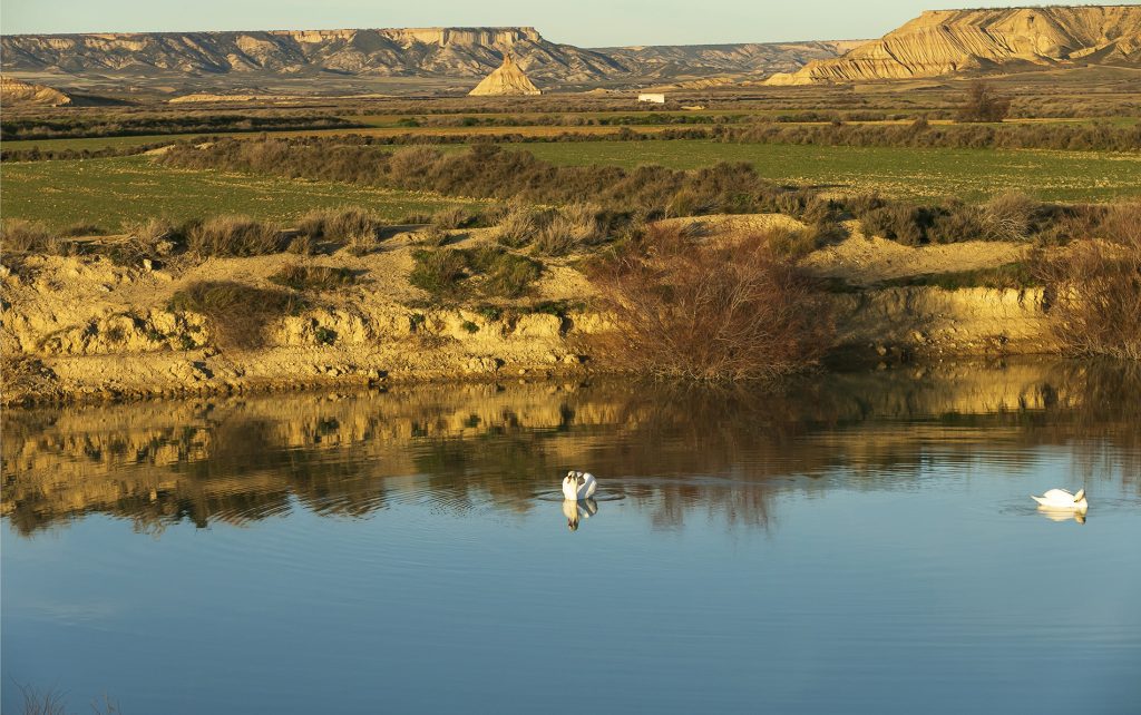 Primer premio - 'Agua vida y erosión' de Sergio Martínez Sánchez