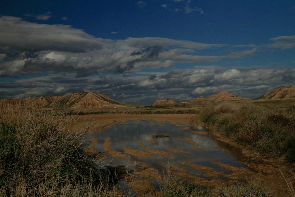 Tercer premio - 'Charco' de Nicolas Martínez