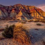 La Comunidad de Bardenas Reales reafirma su compromiso con la sostenibilidad en el Día Mundial del Medio Ambiente