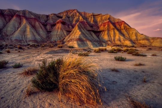 La Comunidad de Bardenas Reales reafirma su compromiso con la sostenibilidad en el Día Mundial del Medio Ambiente