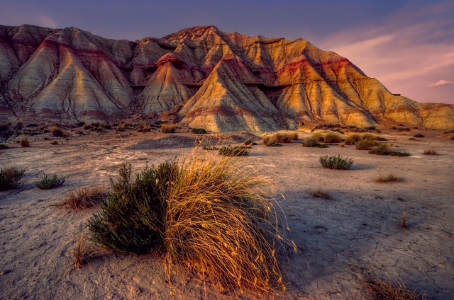 Bardenas Reales - Día Mundial del Medio Ambiente