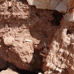 Solicitud de devolución de cráneo hallado en el yacimiento arqueológico del sur de la Bardena Negra