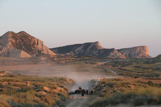 25º Aniversario de las Bardenas Reales como Reserva de la Biosfera 