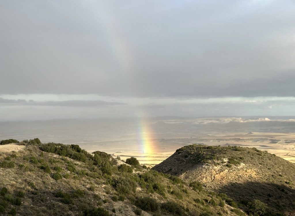 Bardenas Reales celebra el Día Europeo de la Red Natura 2000 destacando el valor de su patrimonio natural