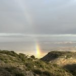 Bardenas Reales celebra el Día Europeo de la Red Natura 2000 destacando el valor de su patrimonio natural