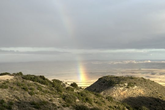 Bardenas Reales celebra el Día Europeo de la Red Natura 2000 destacando el valor de su patrimonio natural