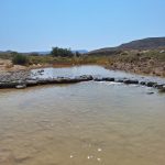 La Comunidad de Bardenas Reales vuelve a abrir el caudal ecológico entre Cuatro Cabañas y Tudela para favorecer la fauna silvestre