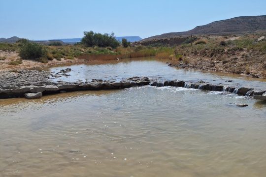 La Comunidad de Bardenas Reales vuelve a abrir el caudal ecológico entre Cuatro Cabañas y Tudela para favorecer la fauna silvestre