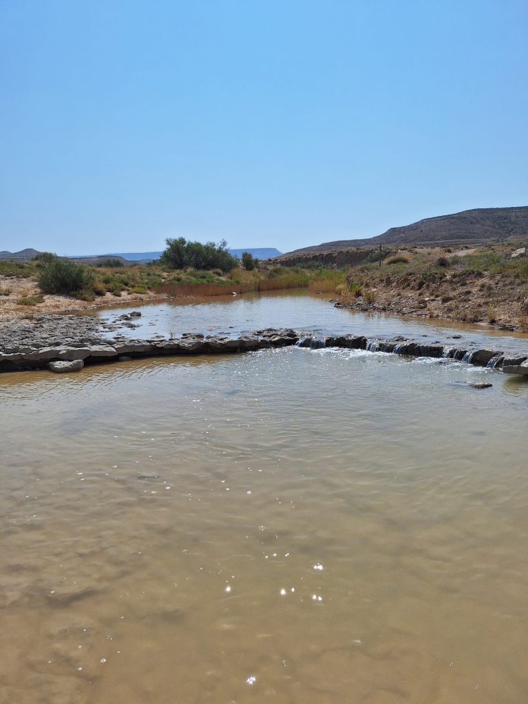 El caudal ecológico vuelve a recorrer el barranco desde Cuatro Cabañas hasta Tudela, garantizando puntos de agua para la fauna durante el periodo de mayor calor.